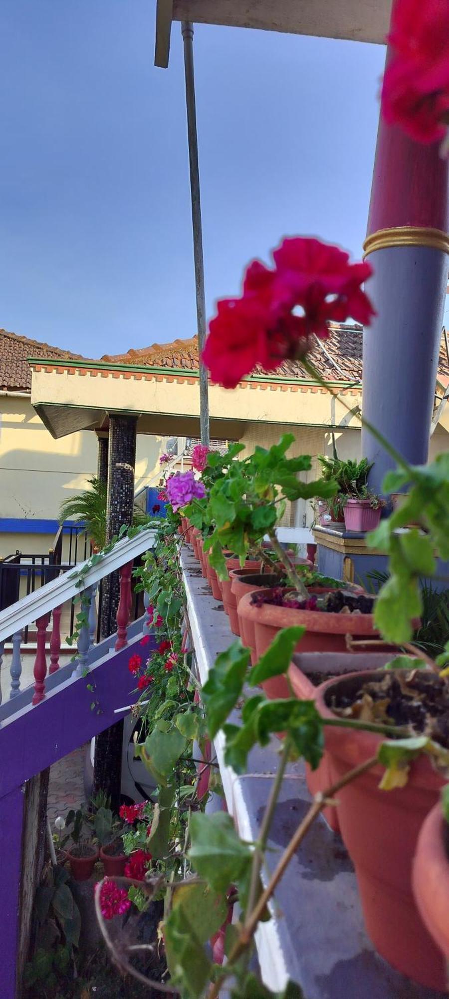 Royal Palm Homestay Madikeri Exterior photo