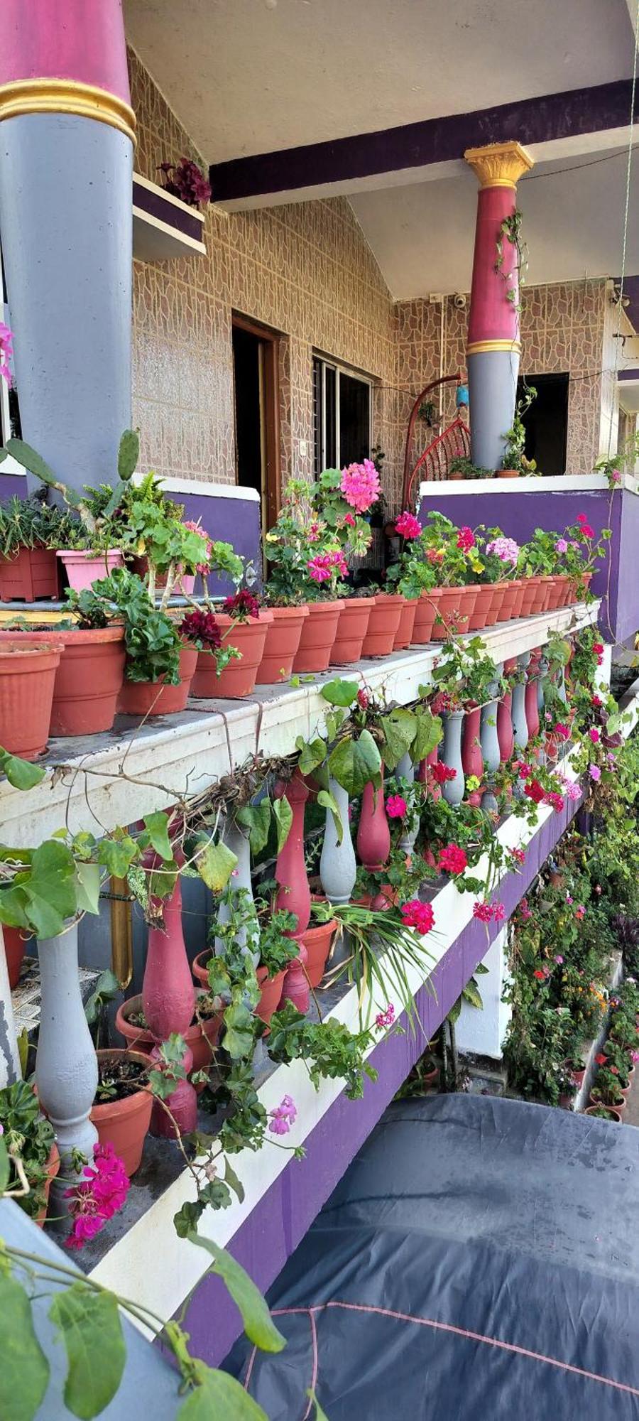 Royal Palm Homestay Madikeri Exterior photo